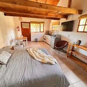 Apartamento de 1 Dormitorio